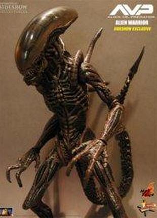 Alien-hunter-avp (hot toys) 1:6 2
