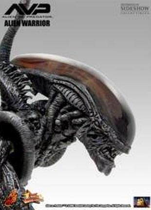 Alien-hunter-avp (hot toys) 1:6 3