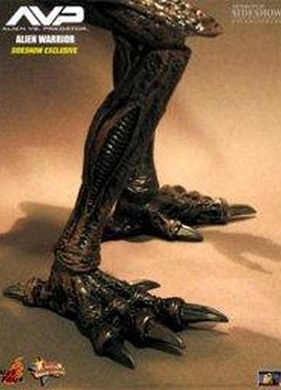 Alien-hunter-avp (hot toys) 1:6 5