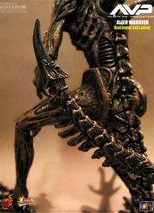 Alien-hunter-avp (hot toys) 1:6 6