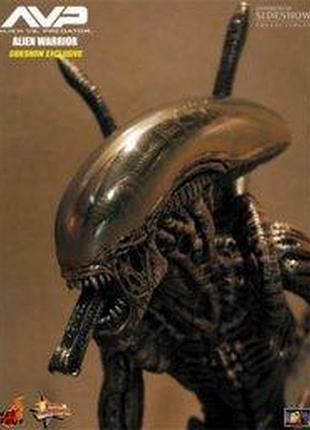 Alien-hunter-avp (hot toys) 1:6 7