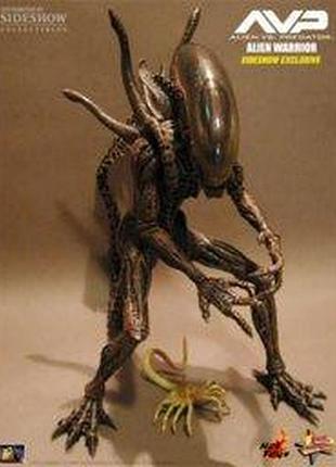Alien-hunter-avp (hot toys) 1:6 8