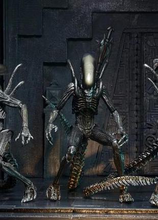 Чужий (alien-hunter) 23 см 7