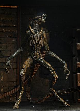 Чужой раннер (alien-runner) (две версии) 24 см 4