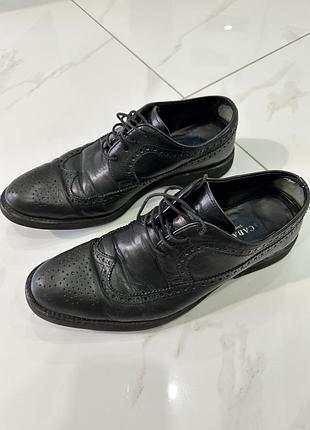 Чоловічі шкіряні туфлі gabani 42