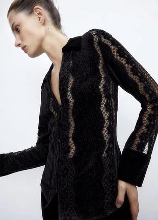 Бархатные блуза zara черного цвета с кружевом.