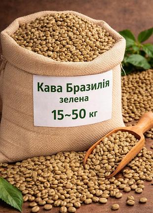 Бразильська кава арабіка santos, зелена кава (сирі зерна)