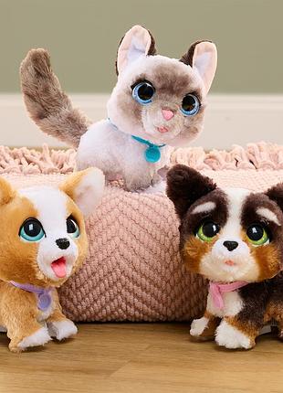 Інтерактивна іграшка furreal серии poop-a-lots - коргі 8