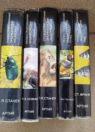 Иллюстрированная энциклопедия животных насекомых растений птиц рыб