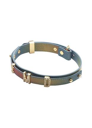 Нашийник бдсм lockink multi-color diy alphabet collar 5