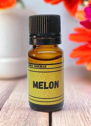 Melon – дыня ,аромамасла для ароматизаторов в авто, пахучки в авто
