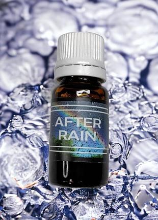 After rain ,аромамасла для ароматизаторов в авто, пахучки в авто