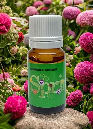 Zest spring - изюминка весны ,аромамасла для ароматизаторов в авто, пахучки в авто