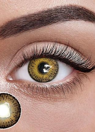 Айс шоколад - карие цветные контактные линзы от elite lens® | линзы для красоты ( нулевки ) | натуральные | на 6мес. 8.6, карие