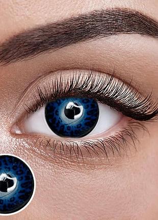 Блу леон - синие цветные контактные линзы от elite lens® | линзы для красоты ( нулевки ) | натуральные | на 6мес.