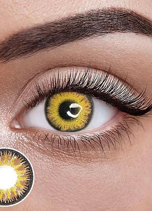 Айс голд - карие цветные контактные линзы от elite lens® | линзы для красоты ( нулевки ) | натуральные | на 6мес. карие линзы, линзы для карих глаз,…