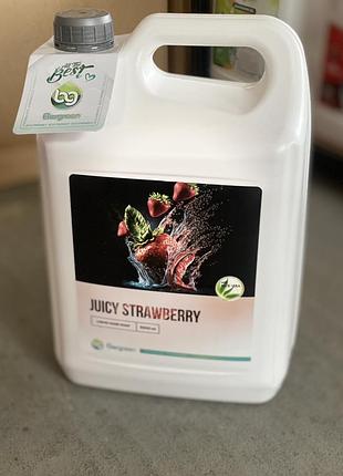 Рідке мило bergreen juicy strawberry 5 л з алое вера