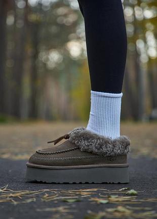 Ugg tasman alpine brown platform