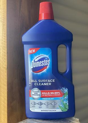 Domestos для унитаза 1 л