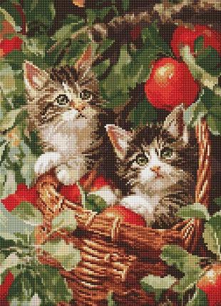 Алмазна мозаїка - коти у кошику ©art_selena_ua идейка 40х50 см (amo20277)