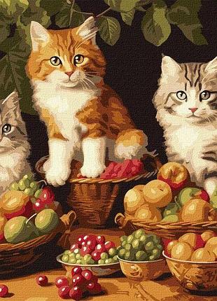 Картина за номерами - котики і фрукти ©art_selena_ua ідейка 40х50 см (kho6586)