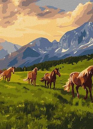 Картина за номерами - вільні духом ©art_selena_ua ідейка 40х50 см (kho6609)