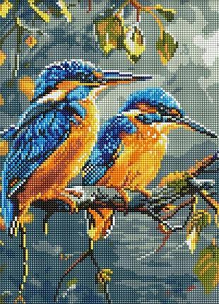 Алмазна мозаїка - скарби природи ©art_selena_ua идейка 30х40 см (amo8083)