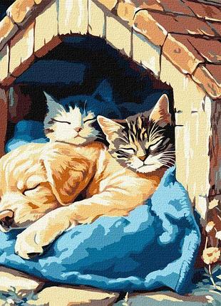 Картина за номерами - тихий час ©art_selena_ua ідейка 30х40 см (kho6695)