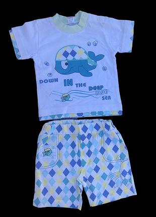Костюм 2в1: футболка, шорти, кулір тм "v-tex" (80 см)