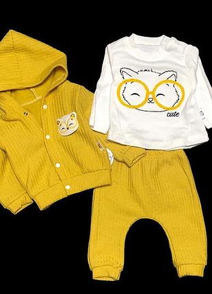 Костюм 3в1: кофта з капюшоном, штани, реглан "cute", бавовна, двунитка з начосом тм "anilco" (68 см)