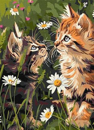 Картина за номерами - котики у квітах ©art_selena_ua ідейка 40х50 см (kho6631)