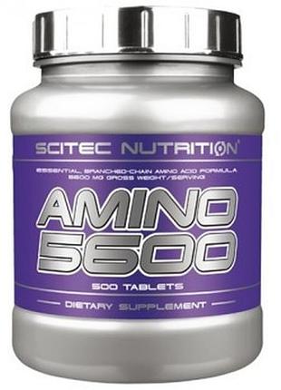Аминокислоты amino 5600 scitec nutrition 500 таблеток
