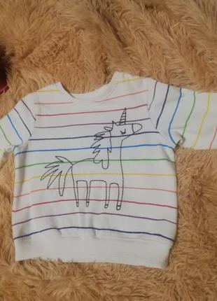 Світшот, кофта, джемпер next