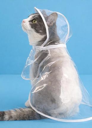 Прозрачный дождевик для котов с капюшоном pet style белый размер 4xl