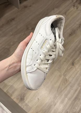 Кросівки adidas