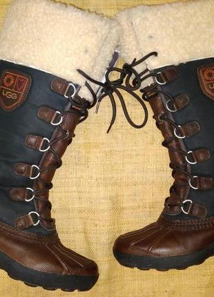 38р 25 см зима на овчине сапоги ugg australia