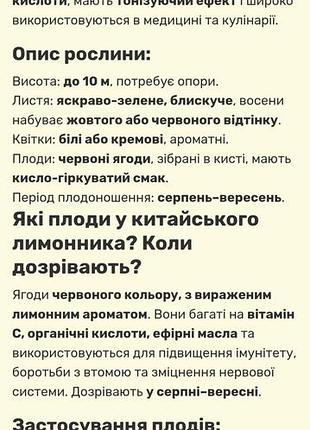 Лимонник китайский 7