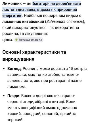 Лимонник китайский 9