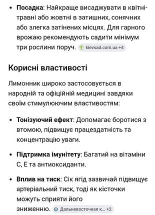 Лимонник китайский 8