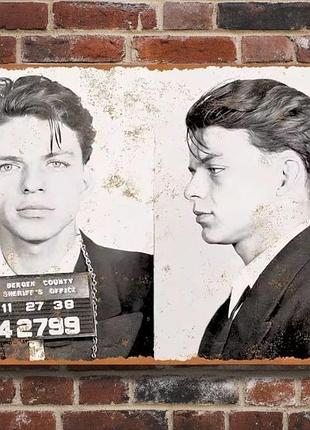 Металлическая винтажная табличка фрэнк синатра frank sinatra 14х20 см