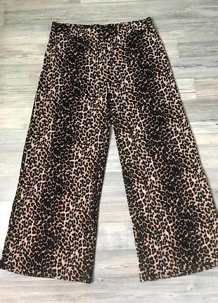 Штани брюки