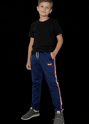 Levis штаны спортивные