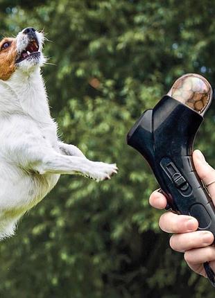 Лаунчер для закусок для домашніх тварин
