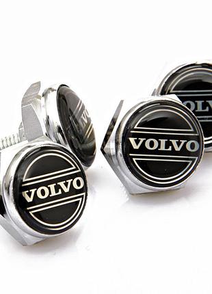 Болты номерного знака вольво volvo болты крепления номера серебристый