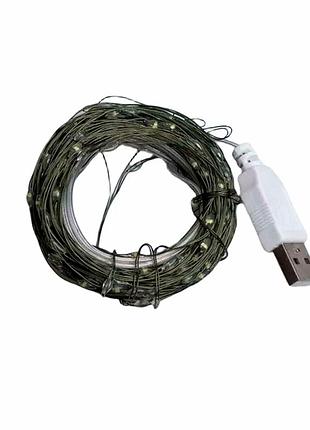 Гирлянда роса 10 метров 100 led белая usb для декора окон дверей стен елок зеленая проволока