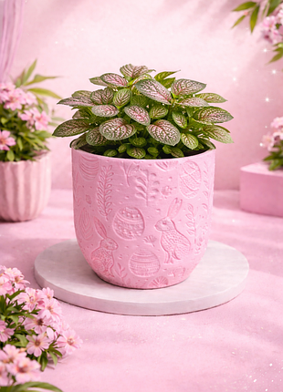 Органайзер или же горшочек для растений🖊🌷