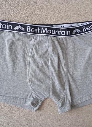 Брендовые боксеры best mountain.