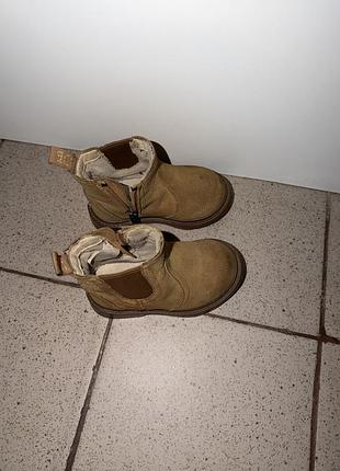 Черевики ugg 2