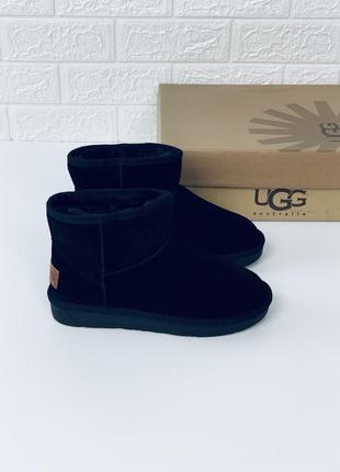 Ugg mini замш угги женские низкие низенькие угг уггі угі жіночі черевики