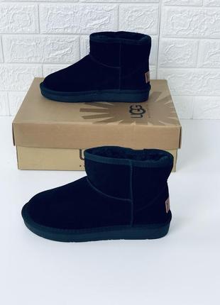 Ugg mini замш угги женские низкие низенькие угг уггі угі жіночі черевики2 фото